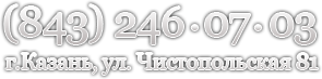 .  .  81 (843) 246 07 03